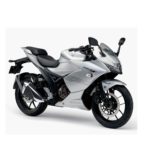 Suzuki Gixxer Sf 250 Dual Abs