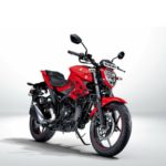 Suzuki Gixxer Fi 250 Dual Abs