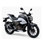 Suzuki Gixxer Fi 250 Dual Abs